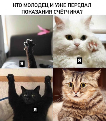 Почему необходимо передавать показания приборов учета?